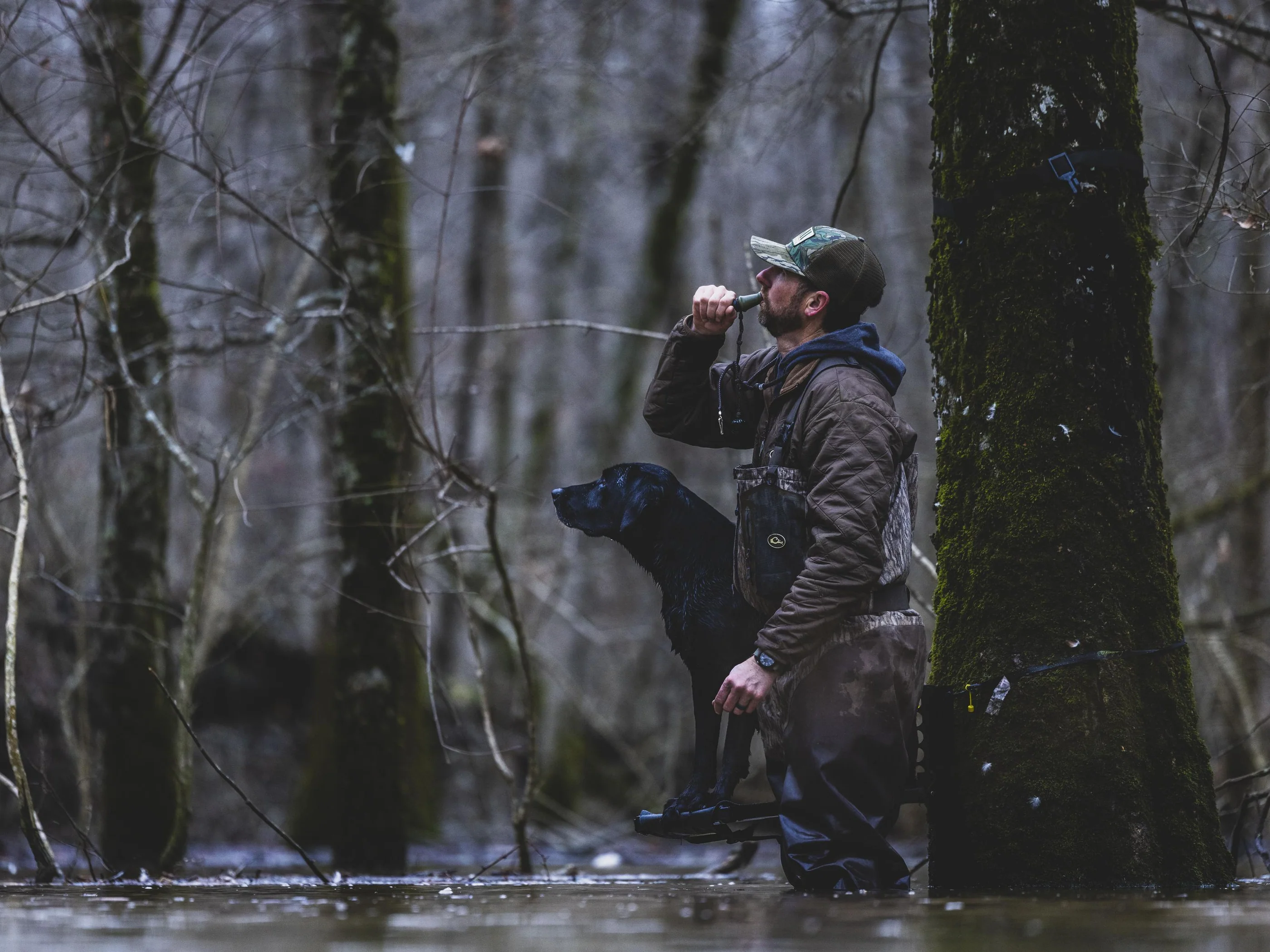 Master Every Season and Terrain